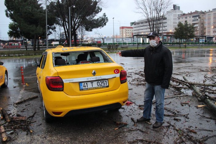 Kocaeli'de fırtınada devrilen ağaç, taksileri pert etti