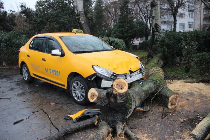 Kocaeli'de fırtınada devrilen ağaç, taksileri pert etti