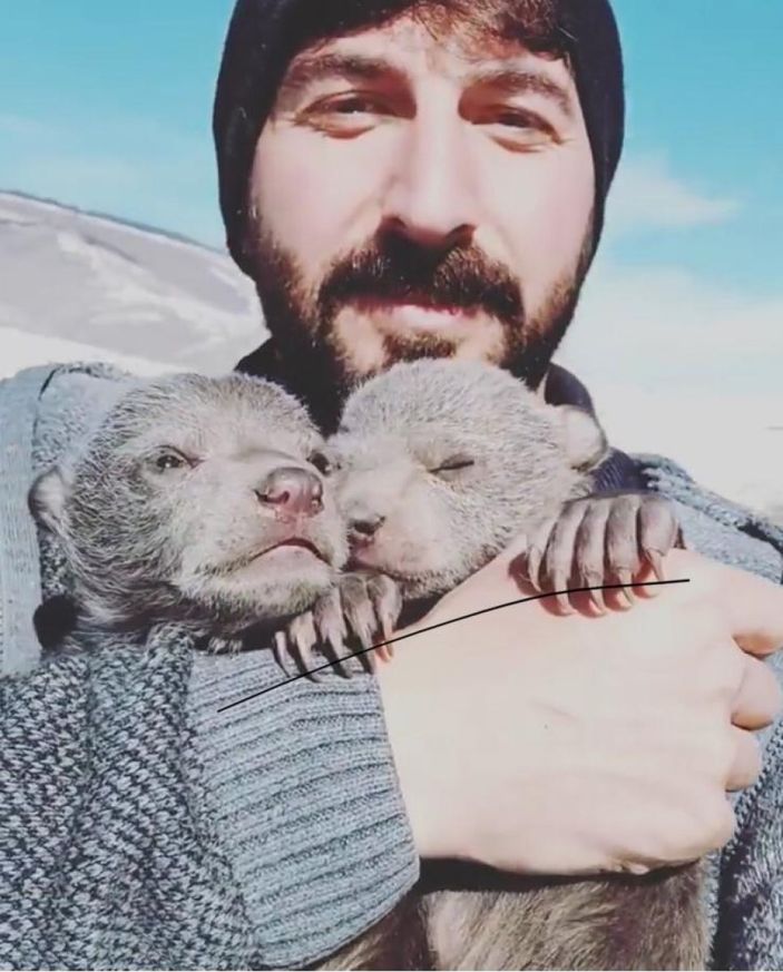 d Ardahan'da yavru ayıları, kendi yiyecekleriyle beslediler