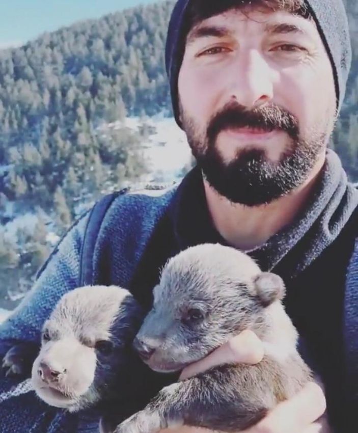 d Ardahan'da yavru ayıları, kendi yiyecekleriyle beslediler