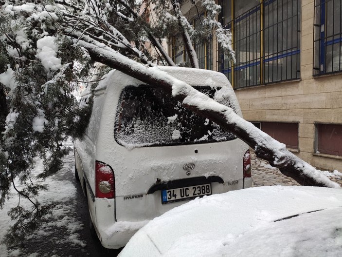 İstanbul'da kara dayanamayan ağaç, aracın üstüne devrildi