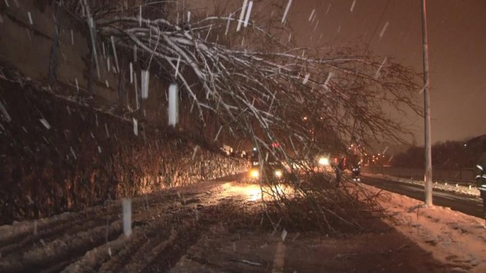 İstanbul'da yoğun kar yağışı ağaçları devirdi