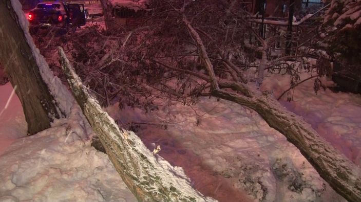 Anadolu Yakası'ndaki kar yağışı ağaçları devirdi