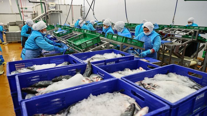 Balık ihracatı arttı