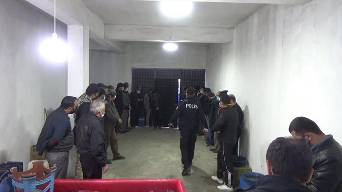 Aydın'da horoz dövüştüren 27 kişi suçüstü yakalandı
