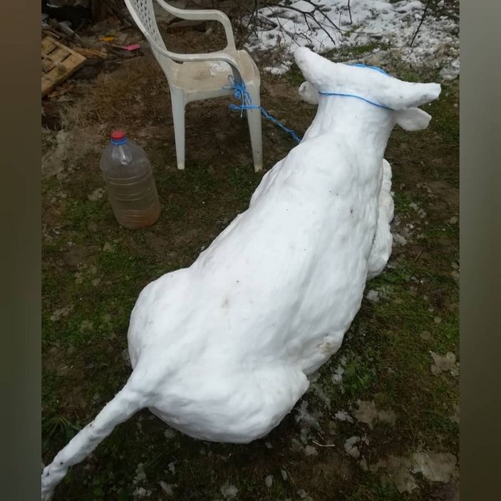Bursa'da öğretmenin yaptığı kardan boğa