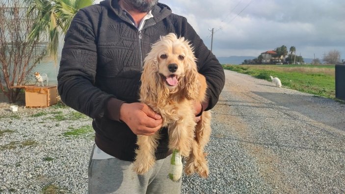 Antalya'da elinde tüfekle köpeği kovalarken yakalandı