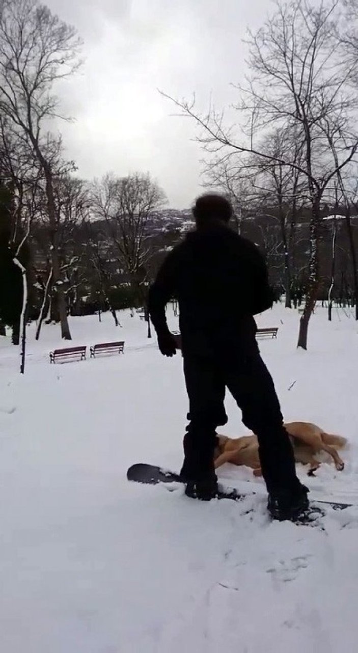 İstanbul'daki karda, snowboard yaptı