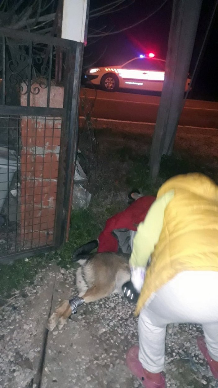 Kurt köpeğinin saldırısına uğrayan vatandaşı jandarma kurtardı