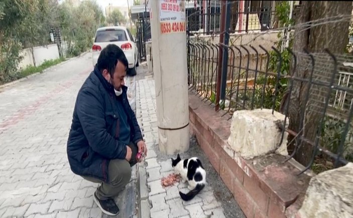 Aydın'da yazlık evde mahsur kalan kedi kurtarıldı