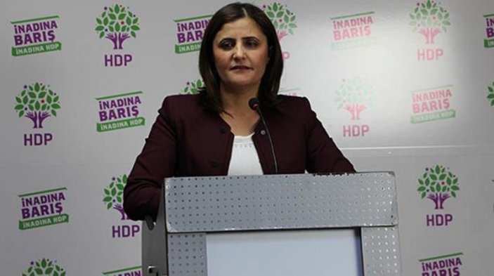 HDP'li Taşdemir'i Gara'da gören teröristin ifadesi