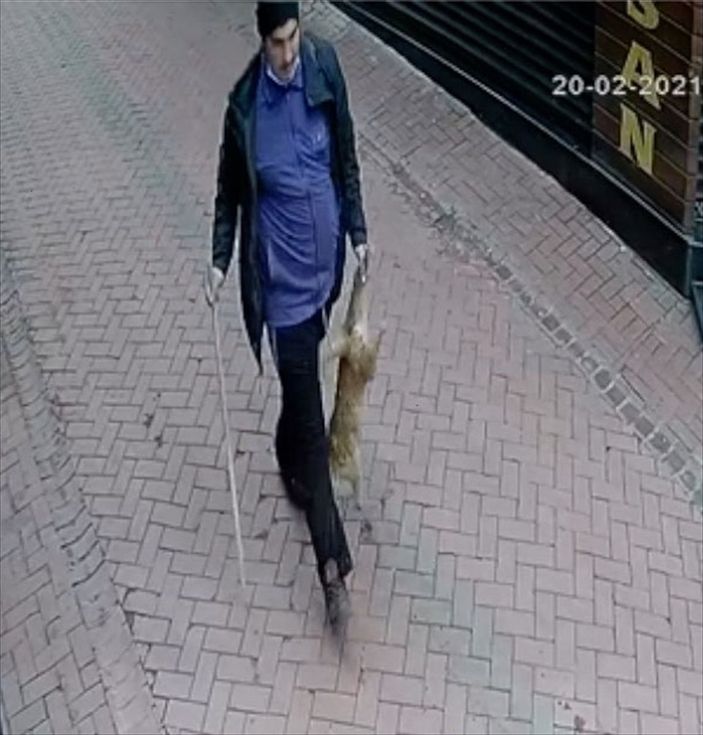 Balıkesir'de beslediği köpeklerine 20 kediyi boğdurttu