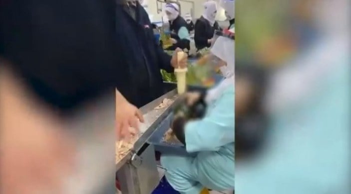Elle ton balığı paketleme görüntülerine sosyal medya tepkisi