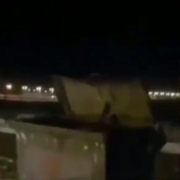 Kars'ta çöp konteynerine giren ayı