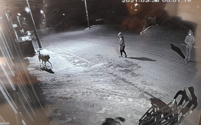Kütahya'da hırsızlar bir köpeği şiddet uygulayarak kaçırdı