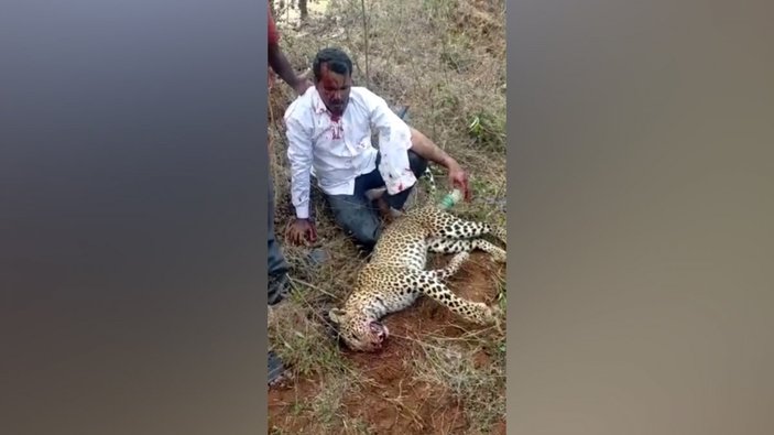 Hindistan'da bir baba, kızı için leoparı elleri ile öldürdü