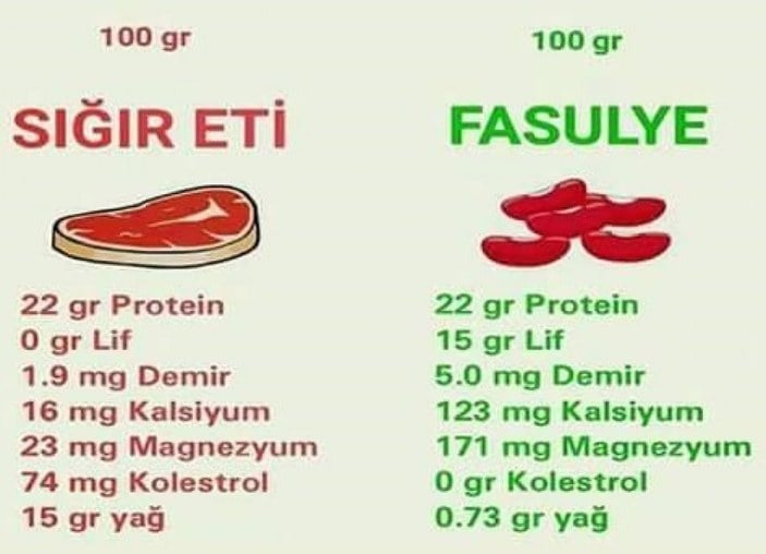 Et yerine tercih edebileceğiniz protein kaynağı: Kuru fasulye