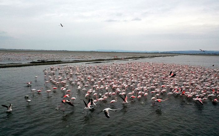 BOTAŞ'A çevre ödülü