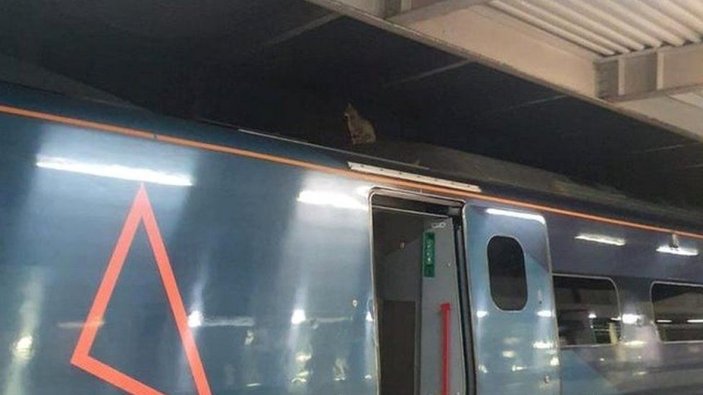 İngiltere’de kedi hızlı trenin üzerinden iki buçuk saatte kurtarıldı