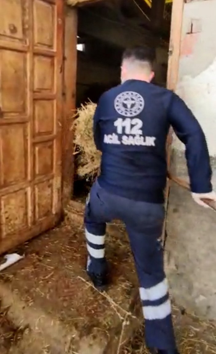Amasya’da sağlık ekipleri yaşlı kadının ineklerini besledi