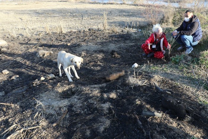 Edirne’de vahşice yakılan 8 yavru köpek ölüsü bulundu