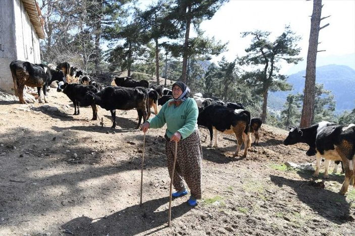 Antalya'da 70 yaşındaki kadının 62 yıllık çobanlık hikayesi