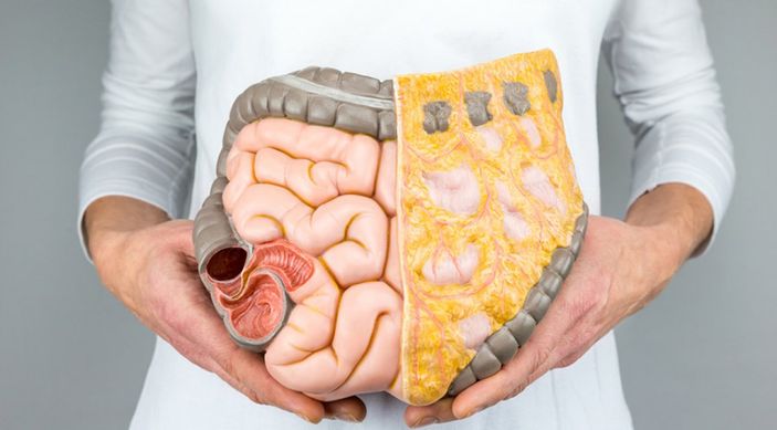 Kalbinize sağlıklı bir bağırsakla yardım edebilirsiniz