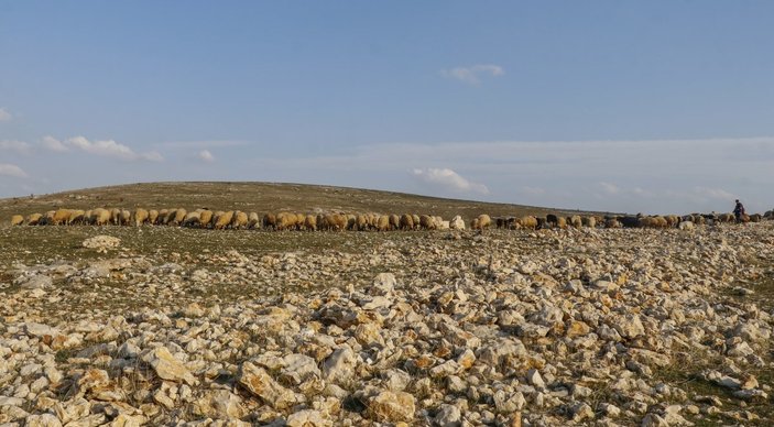 Mardin kuraklık