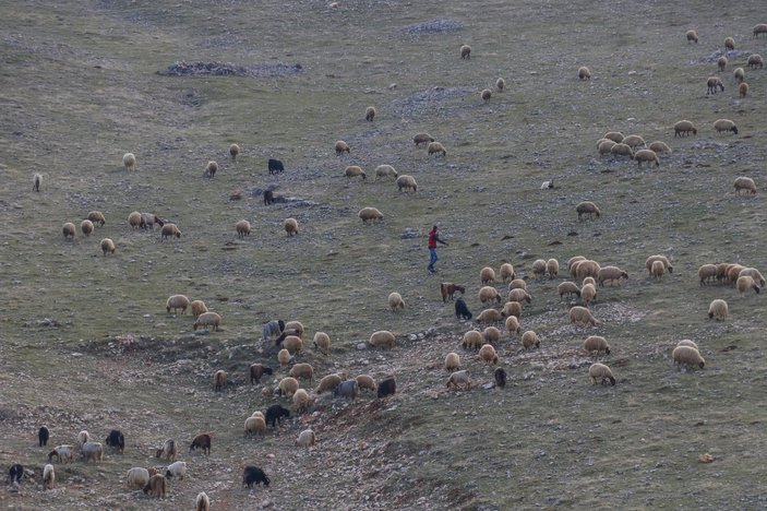 Mardin kuraklık