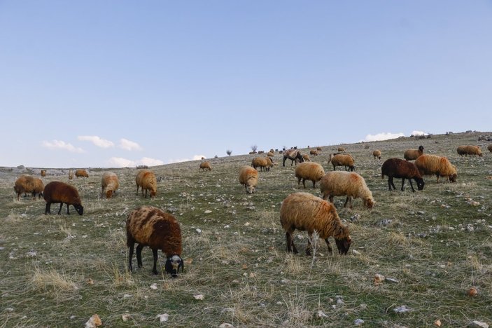 Mardin kuraklık