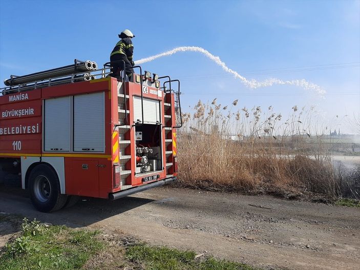 a Manisa'da yangın: 10 köpek yavrusu telef oldu
