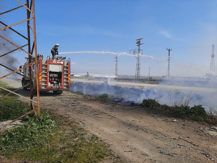 a Manisa'da yangın: 10 köpek yavrusu telef oldu