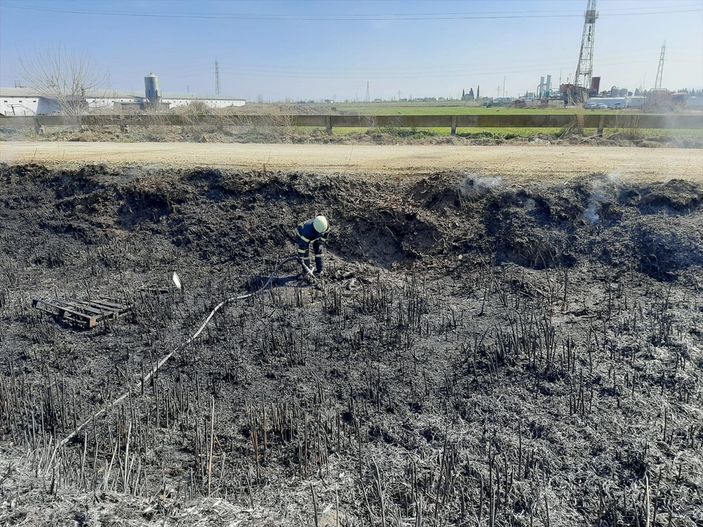 a Manisa'da yangın: 10 köpek yavrusu telef oldu