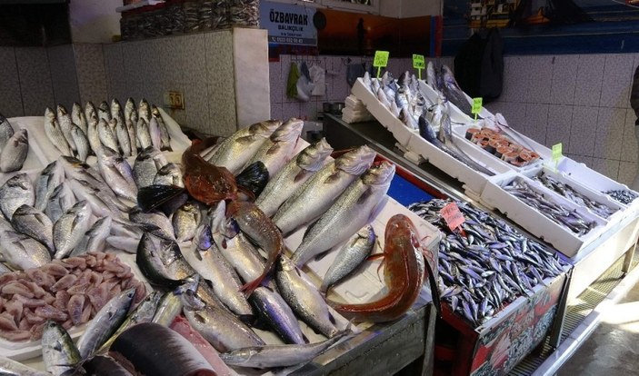 Kırlangıç Balığı az çıkıyor pahalı satılıyor