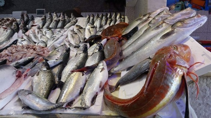 Kırlangıç Balığı az çıkıyor pahalı satılıyor