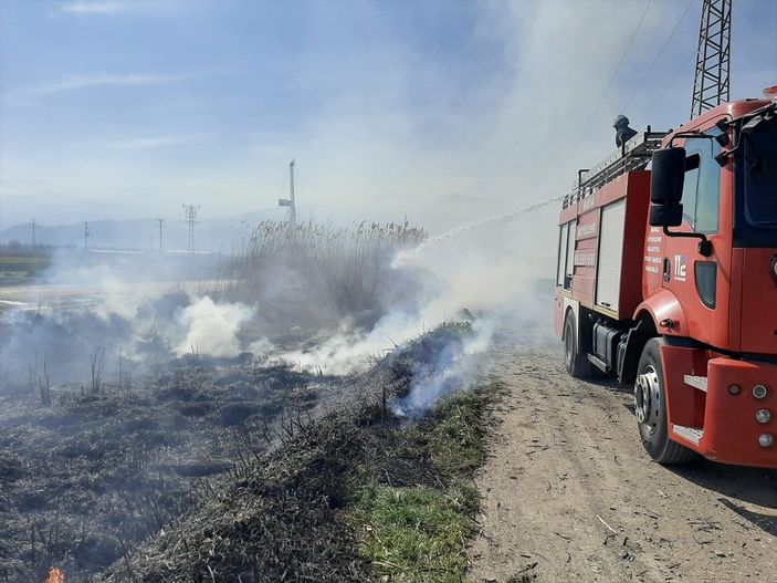 a Manisa'da yangın: 10 köpek yavrusu telef oldu