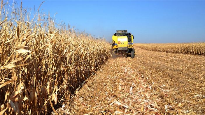 Tarım, bünyesindeki 10 sektörün 8'iyle ihracatta atağa kalktı