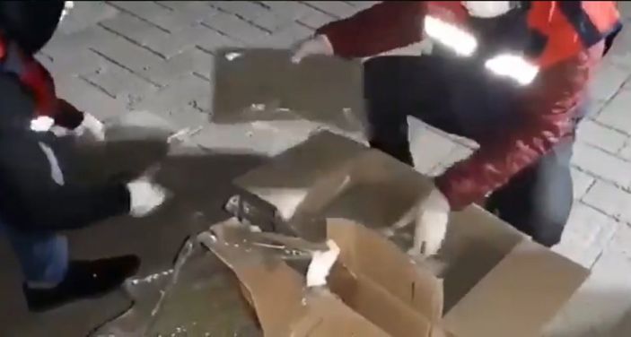 İstanbul taksi bonzai