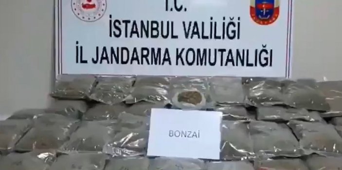 İstanbul taksi bonzai