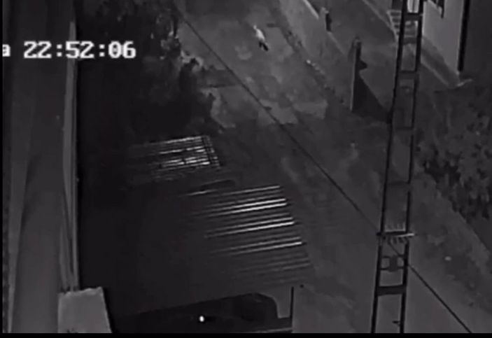 Hatay'da sokak köpeğini pompalıyla öldürdü