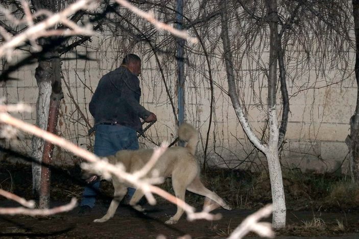 a Kayseri'de komşusunun köpeği tarafından saldırıya uğradı