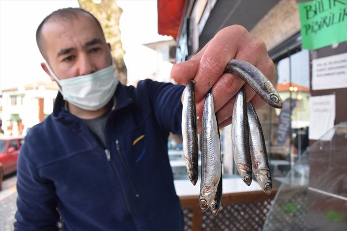 Düzce'de balıkçılar, sezonu kapatmaya hazırlanıyor