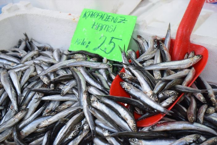 Düzce'de balıkçılar, sezonu kapatmaya hazırlanıyor