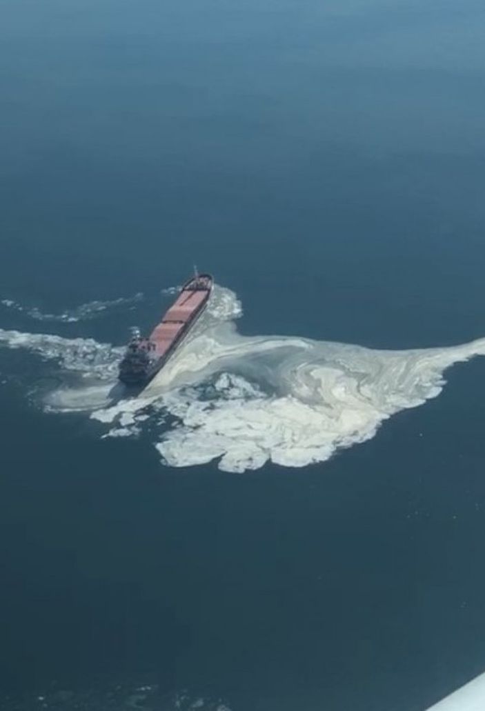 Gemlik Körfezi’nde kirlilik alarmı