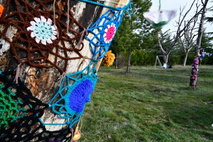 Kurumuş ağaçlar örgülerle kaplandı