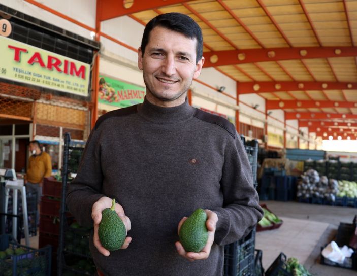 avokadoya talep arttı