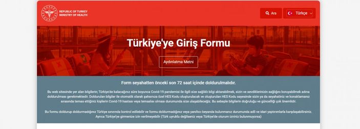 Türkiye'ye Giriş Formu nedir, nasıl alınır? Türkiye Giriş Formu doldurma ekranı..