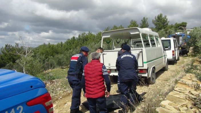 i Antalya'da kardeşlerin ağaç kavgası kanlı bitti