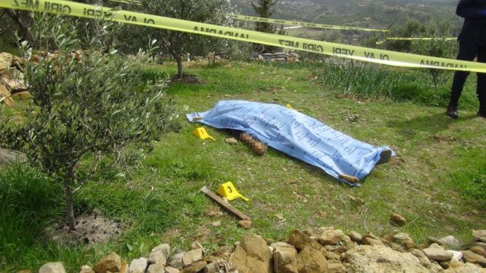 Antalya'da kardeşlerin ağaç kavgası kanlı bitti