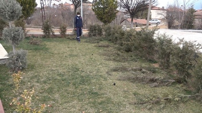 Kırıkkale'de parktaki 30 ağaç kesildi